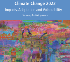 Cover Ausschnitt Climate Change 2022 WGII